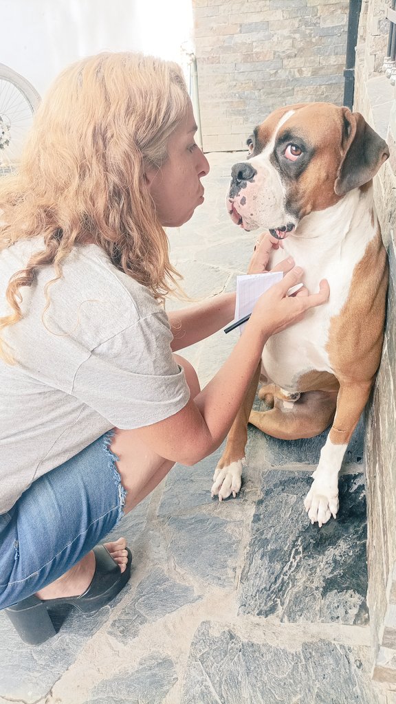 TW Pornstars - 2 pic. Argendana Extreme Fisting And Anal Insertions