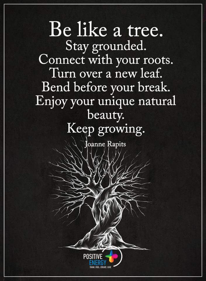 agarwalvijay76's tweet photo. नमस्कार,आपका ओर परिवार का दिन शुभ हो 🙏🏻,Stay Positive Stay Safe 🏡 #सुविचार #जय_श्रीराम #हर_हर_महादेव_जय_शिव_शंभू #जय_श्री_राधे_कृष्णा‌‌ #जय_हो_माता_रानी_की #हीराबेन #नरेंद्र_मोदी #हिन्दुराष्ट्र #COVID19 #modi4pm2024 #YogiAdityanath https://t.co/VYwUD8njPS