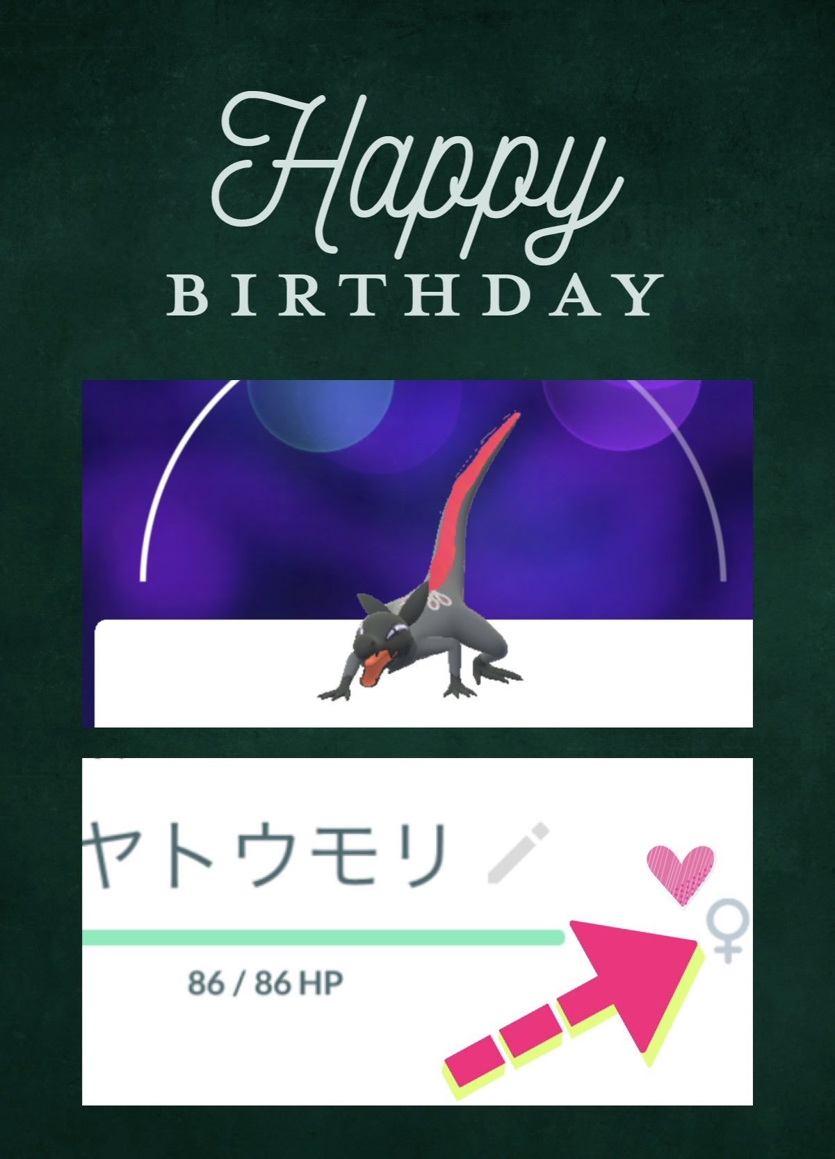 ヤトウモリ Twitter Search Twitter