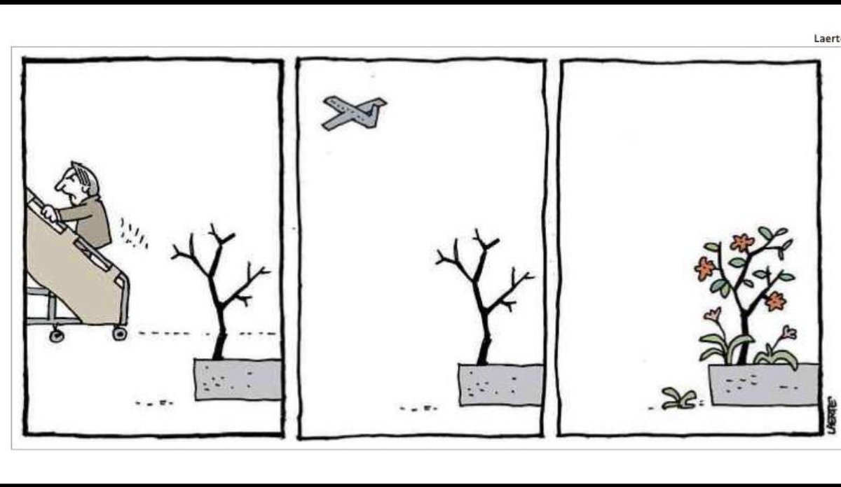 reinaldoazevedo's tweet photo. Laerte. https://t.co/M4cyHdtoue