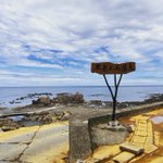 ツイートに含まれる画像