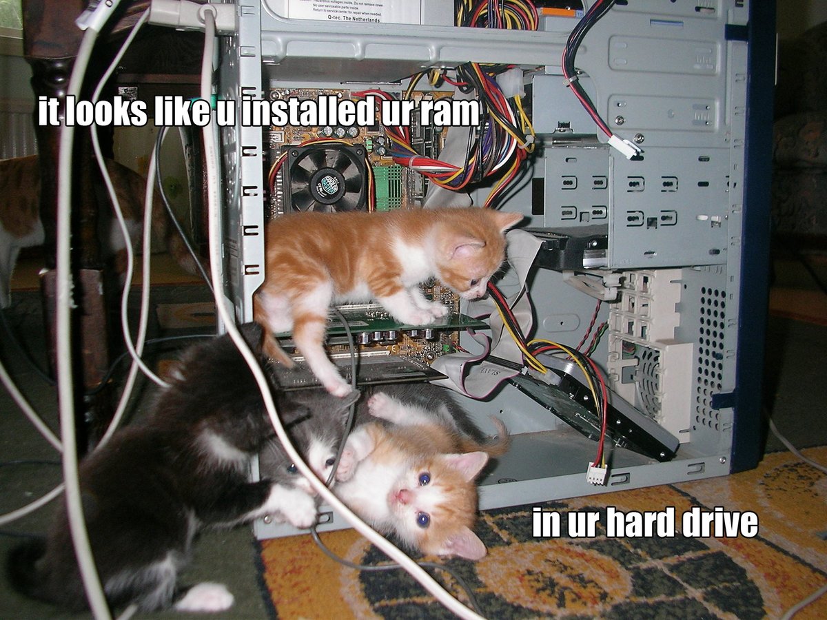 HellaSavageX's tweet image. Twitter tech support right now... 😆
#twitterdown #twitter #twittertechsupport #twitterhasfallen #twitterintheshitter