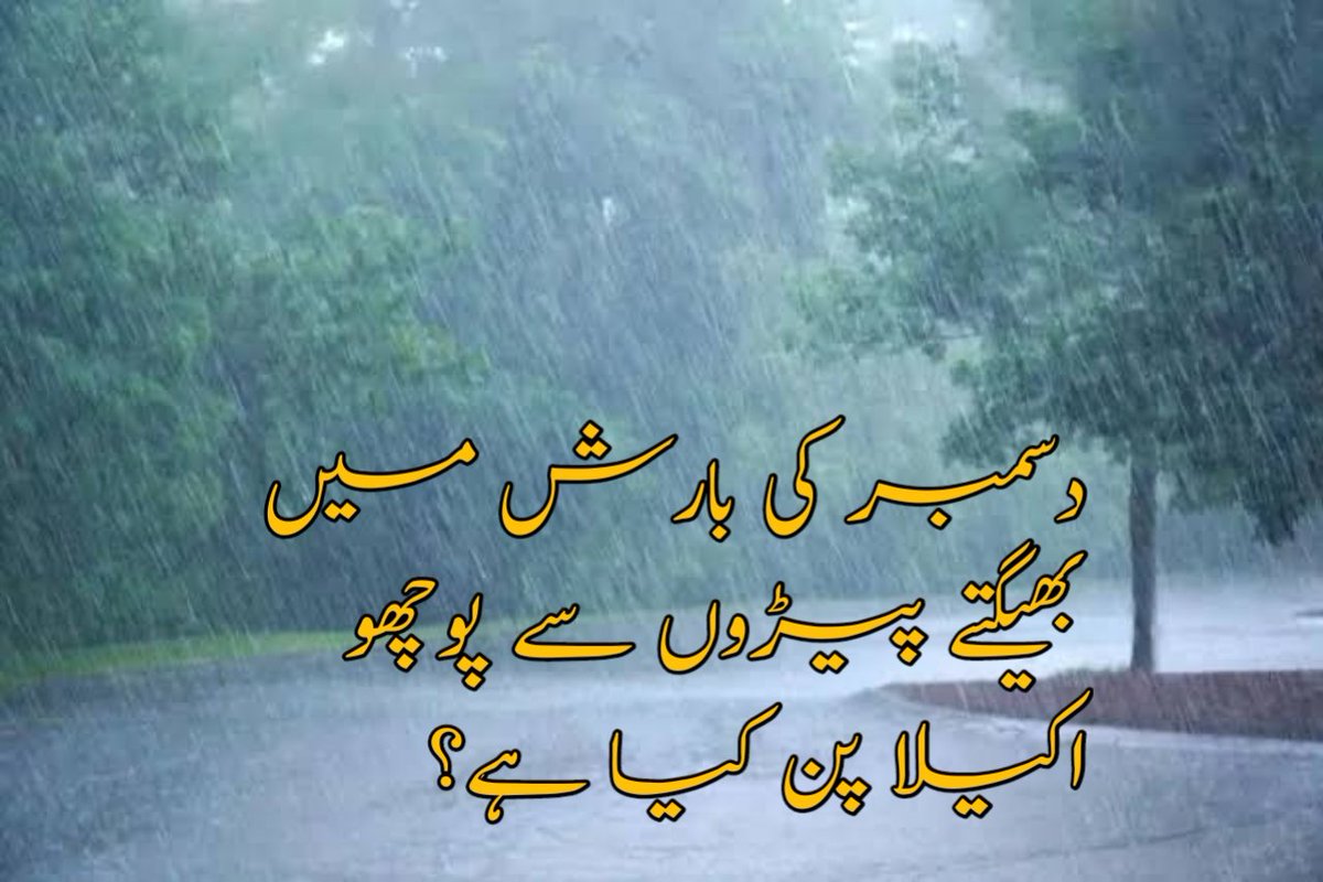 دسمبر کی بارش میں
بھیگتے پیڑوں سے پوچھو
اکیلا پن کیا ہے؟
#RainyDay 
#Yaad_e_Jani 
#UrduPoetry