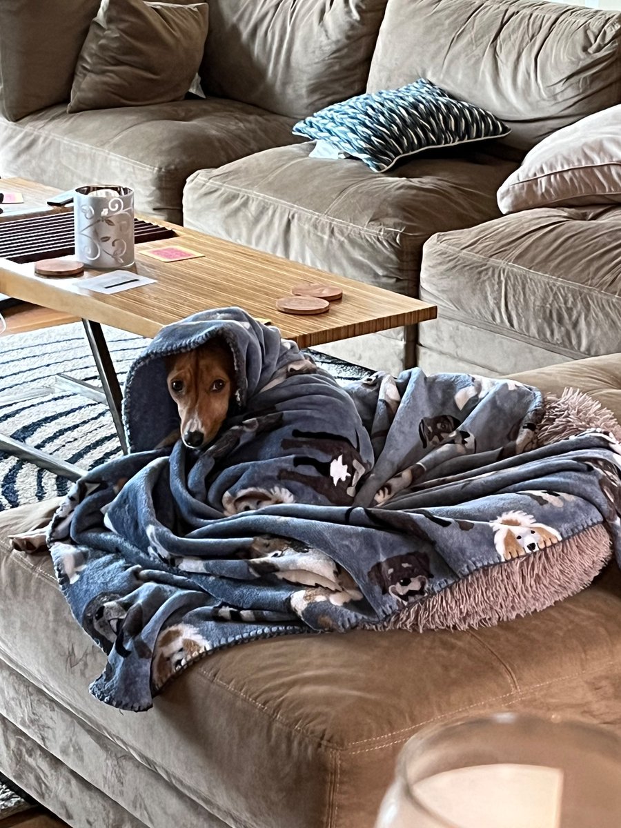 DefNotRyan's tweet image. 