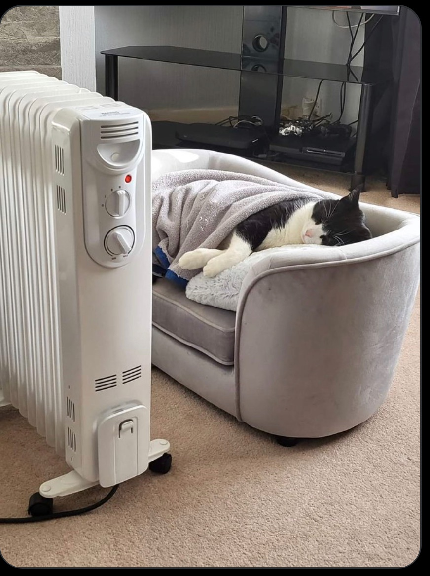 DefNotRyan's tweet image. 