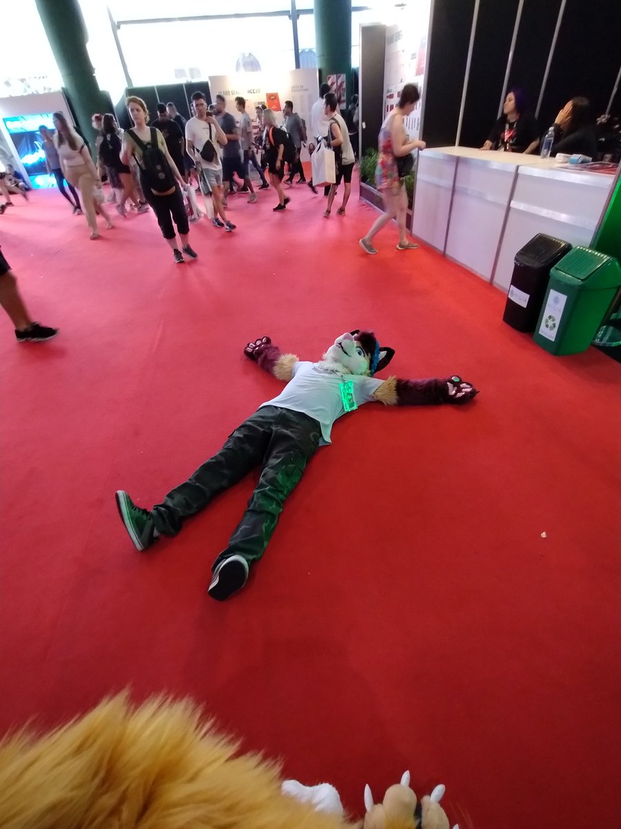 Zyly the Fox! 🧡💛 tweet media