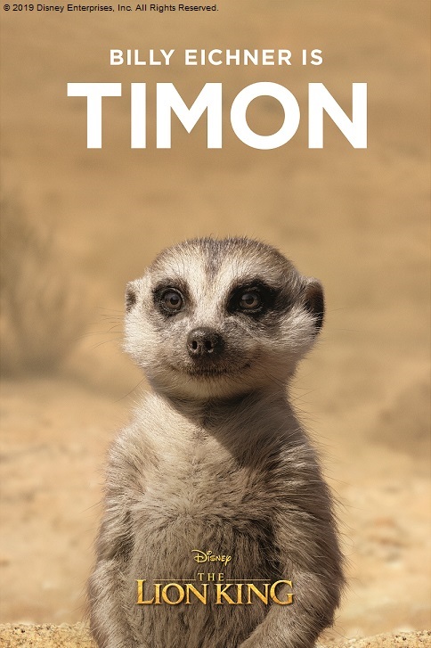 今夜9️⃣時 ⏰地上波初放送🎉 🦁#ライオン・キング🦁 【#ティモン