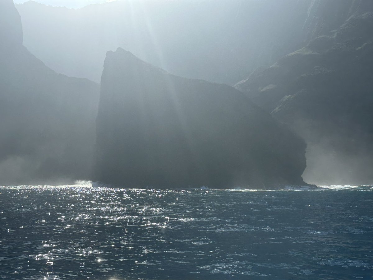 meenakshei's tweet photo. #kauai #napalicoast #spinnerdolphin https://t.co/aqMdcMa8zF
