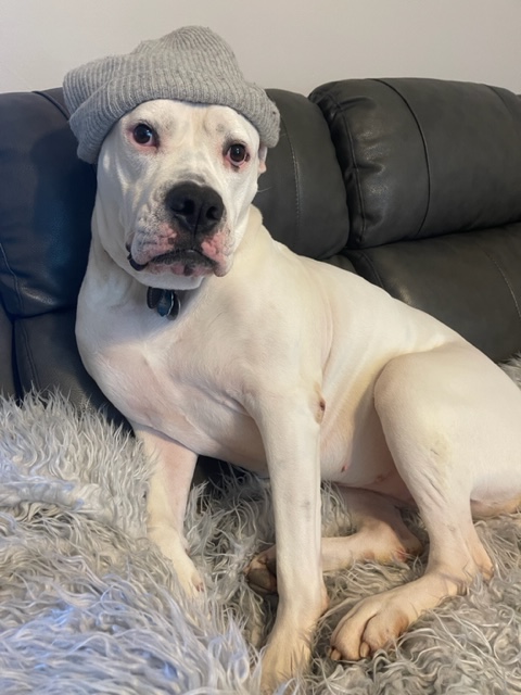 Ryan E. Flinn, Ph.D. 🌈 tweet media