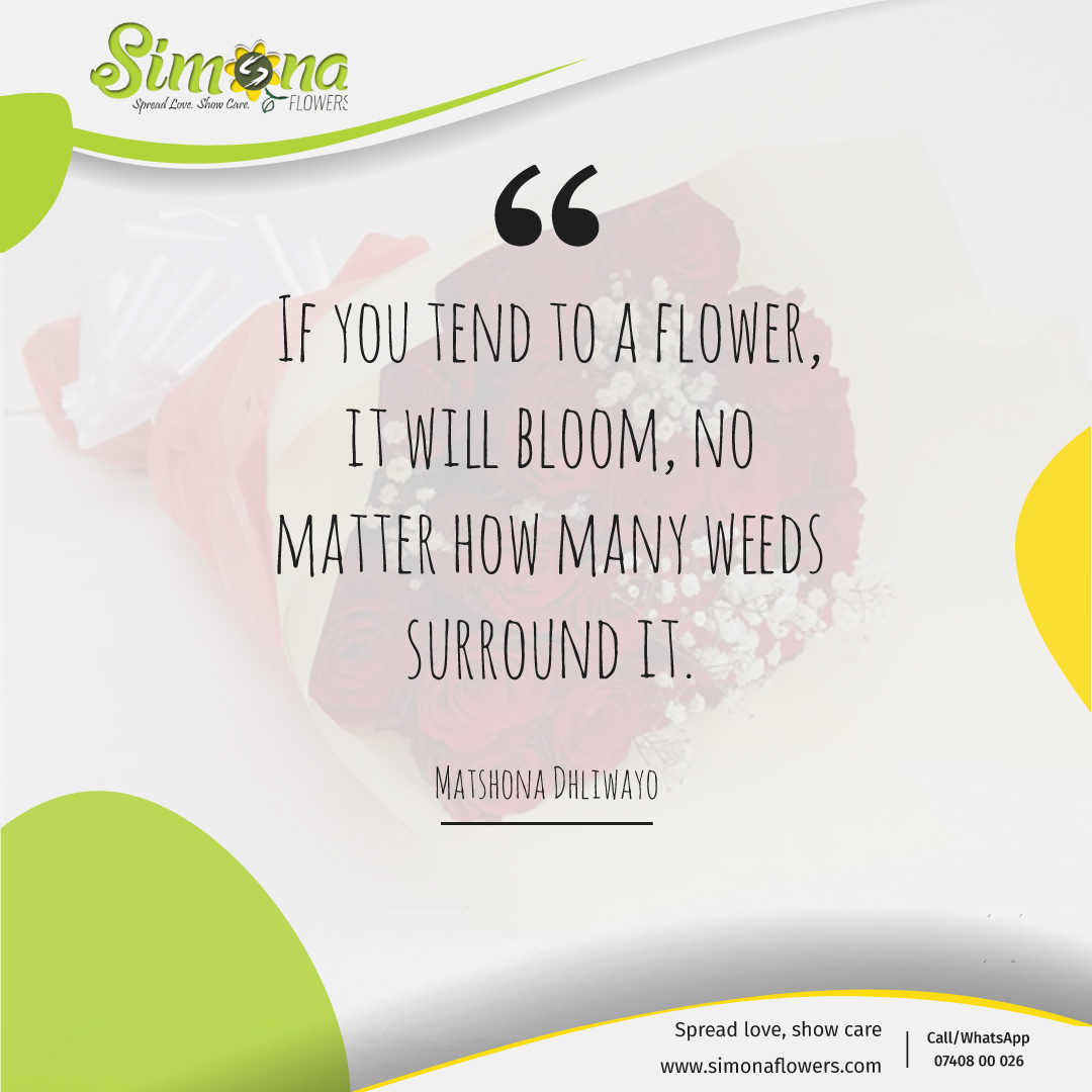 simonaflowers's tweet photo. Never let anything stop you, keep going and make yourself proud.
Call/WhatsApp 0740800026
https://t.co/cWrv2krFRq
#friday #weekend #xmasspirit #flowers #bouquet #elevateyourspirit #happiness #gift #gifthamper #surprise #showcare #showlove #birthday #graduation #cogratulation https://t.co/OiCCvZ3lQh