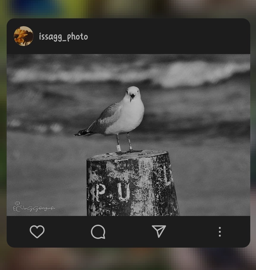 IssaGGfoto's tweet image. 📸 @IssaGGfoto 

#Fotos #fotografia #Foto #photographer #PHOTOS #photooftheday #PhotoMode #photographylovers #blancoynegro