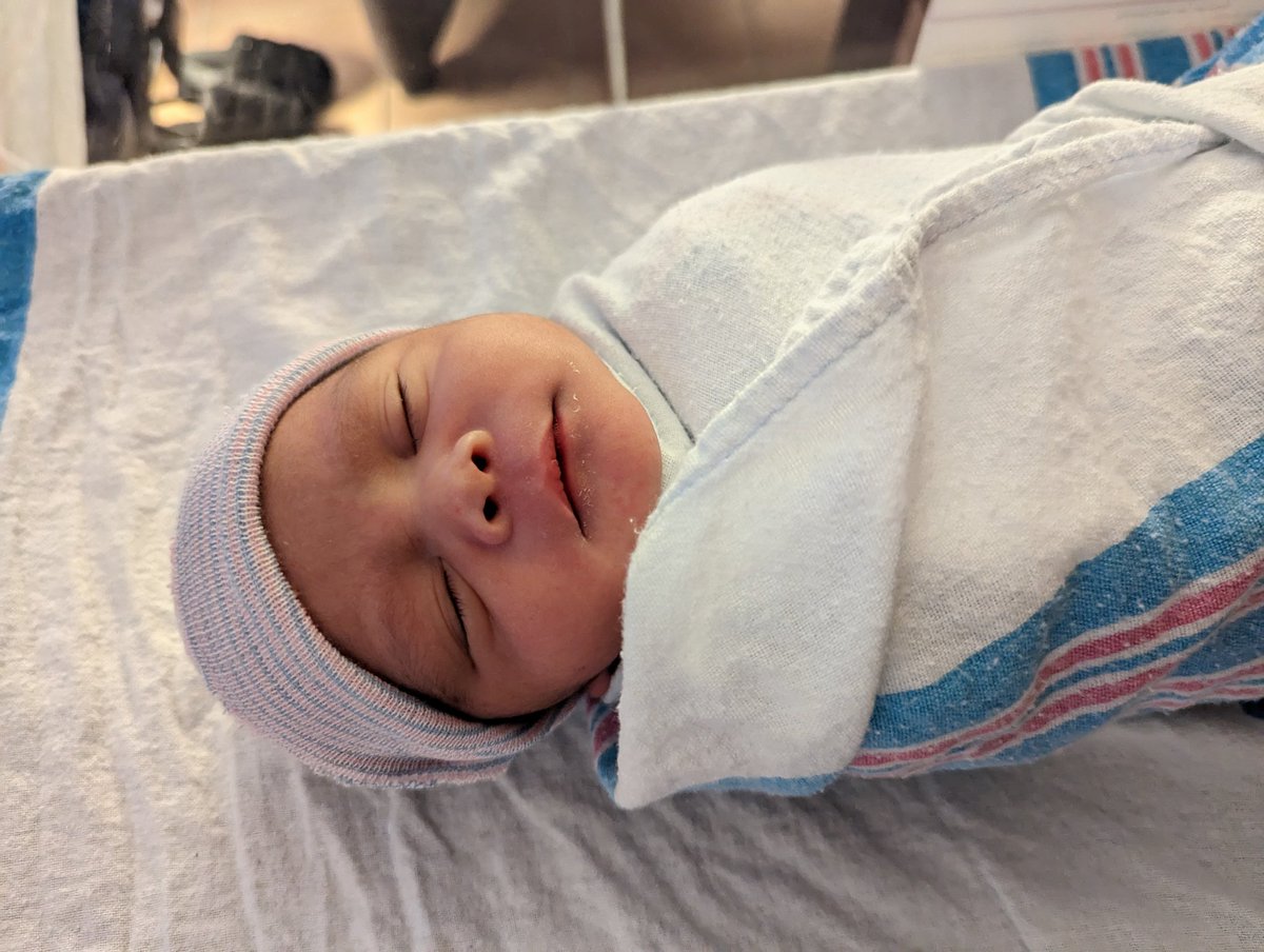 Marcelo Hernandez tweet media