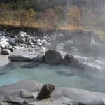 高橋一喜♨ソロ温泉&温泉ワーケーションのツイート画像