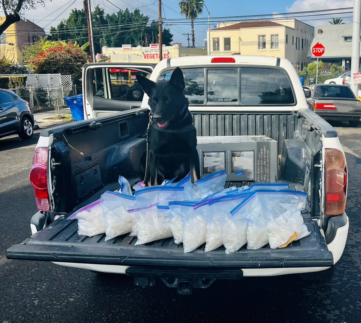 LAPDCARRANZA's tweet photo. Your #GND #LAIMPACT Group 4 at work! Seized 60 lbs. of #Meth Approximately Street value of $3.9 Million. Thank you @CHP_HQ #K9 #Nero for the partnership! 1 suspect arrested. Saving lives, reducing overdoses, violent & property crime. The #relentless pursuit continuous...#LAPD https://t.co/yJDQBWxPPQ