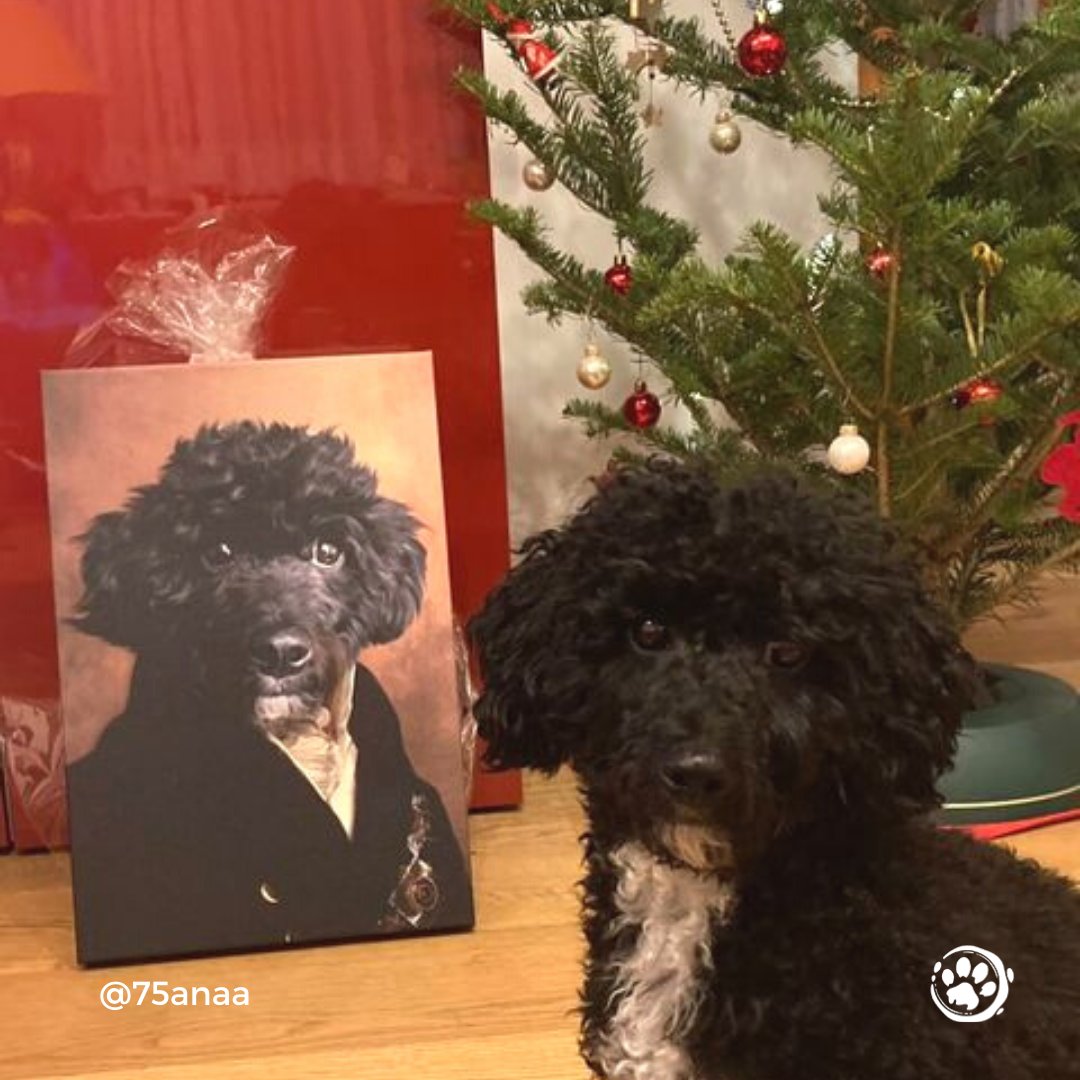 iconicpaw's tweet photo. Making the spirit of Christmas last a few more days with this lovely photo of Elio.  🎄🐾

Do not forget to tag us in your Holiday photos!  

Link in bio

📸 @75anaa
.
.
#iconicpaw #petportait #customportrait #digitalart  #cute #dogmom #cutedog #giftideas #bestgiftever #doglover https://t.co/o8ndpB1hjq