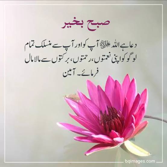السلام علیکم 🌸