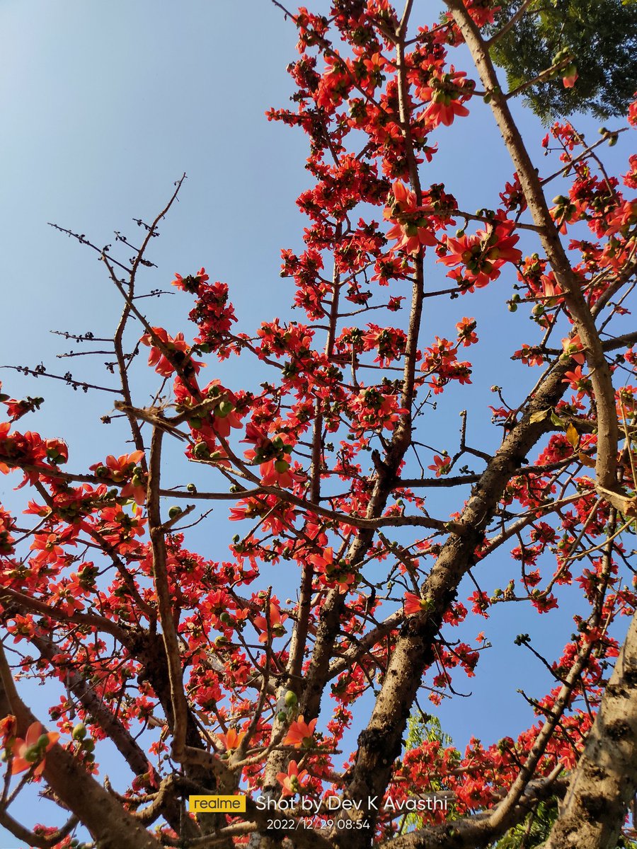 Devavasthi's tweet photo. 🍁सुकून🍁
#devsclick #nature #naturephotography #flowers #peace #love #nashikcity #nashik #sukun #morning #morningvibes https://t.co/PcPnpBwSfJ