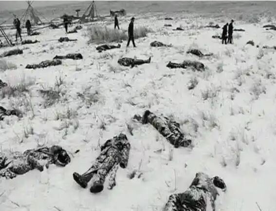 LakotaMan1's tweet photo. 20 Medals of Honor were “awarded” to soldiers for massacring innocent noncombatants at Wounded Knee. Disgraceful. Those medals of dishonor should be rescinded. Agree? https://t.co/GrePQpv5cw