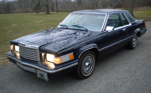 Barn Finds tweet media