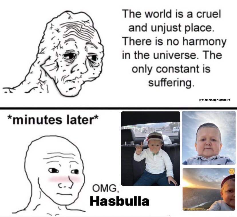 HasbullaHive 🐐 (@hasbullahive) on Twitter photo 