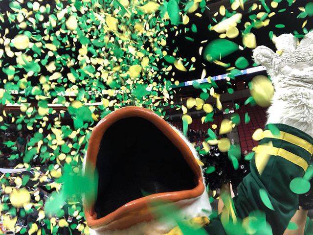 UOAlumni's tweet photo. DUCKS WIN 28-27 ‼️ https://t.co/ZtKZQ64YaG