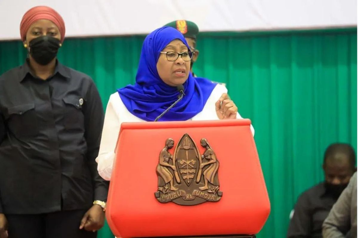 DECEMBER 28, 2022 #Tanzania #PresidentSamia Suluhu Hassan’s pro-business approach is having a profound impact in efforts to stimulate economic growth. Value of #TanzaniaInvestment projects has almost tripled to $3.16 billion in past five months  

znznews.com/samias-role-as…