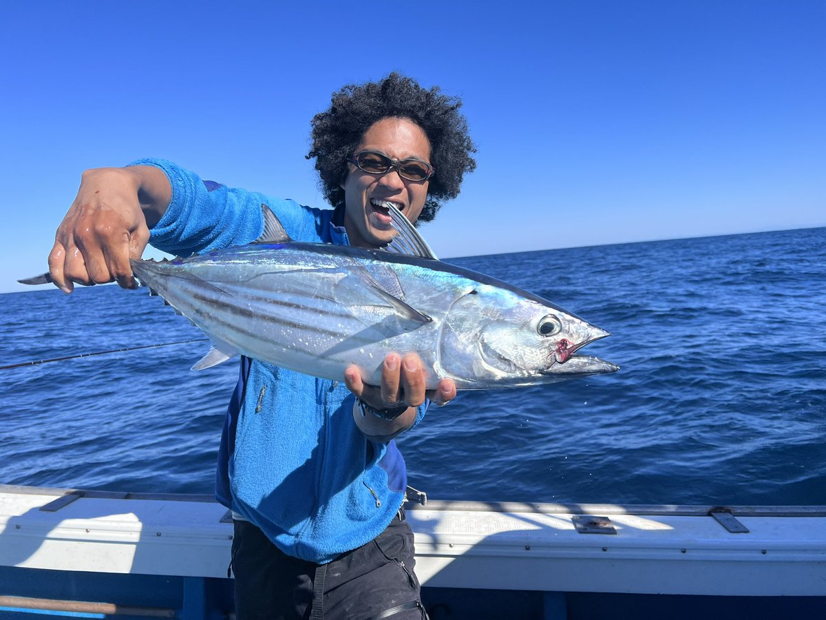木村 匠 tweet media