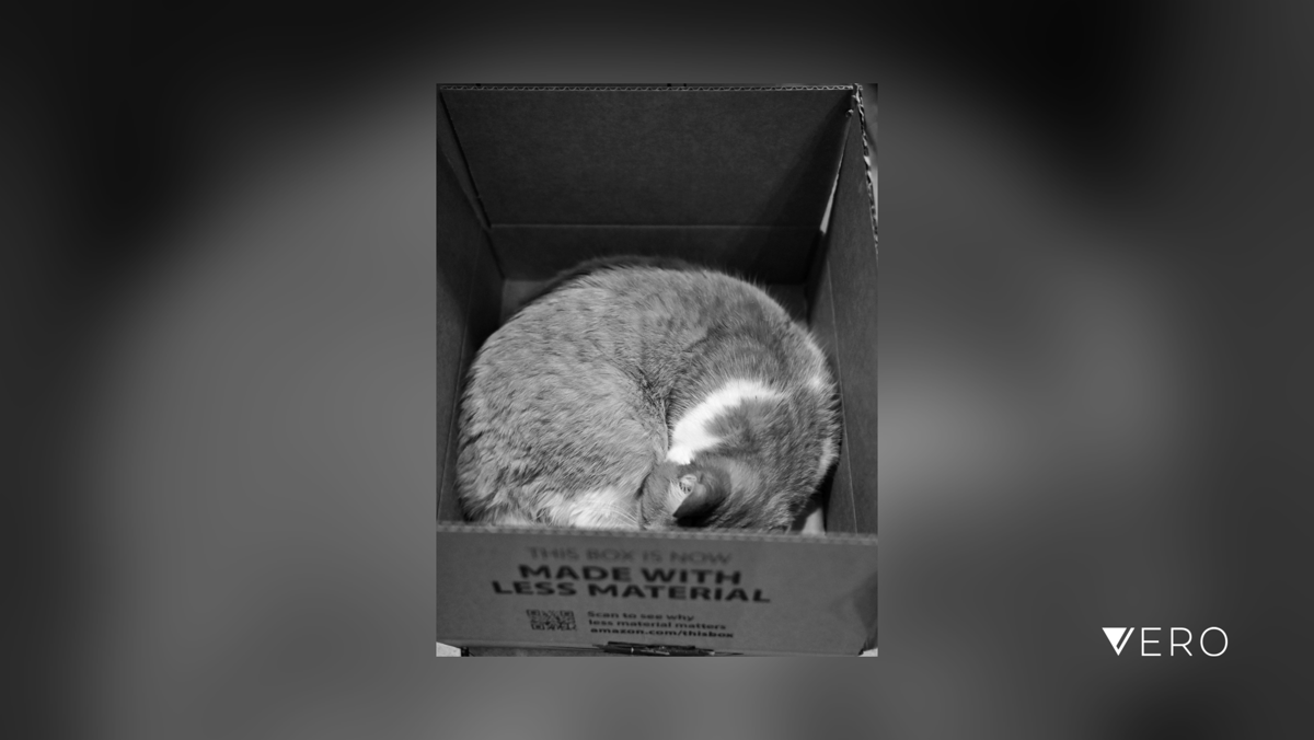Kaiju_Jnyx's tweet photo. #124
Handle with care😻  That’s Bea, a newer addition to our household

#Podium_mono #verobw #raw_bnw #visual_bnw #pictasmonochrome #rebel_bnw #bnwgang
#raw_potd #raw_depthoffield 
#Podium #photography #photographer #raw_community … https://t.co/KfTQBo6Ipf https://t.co/Gf8qokfeVU