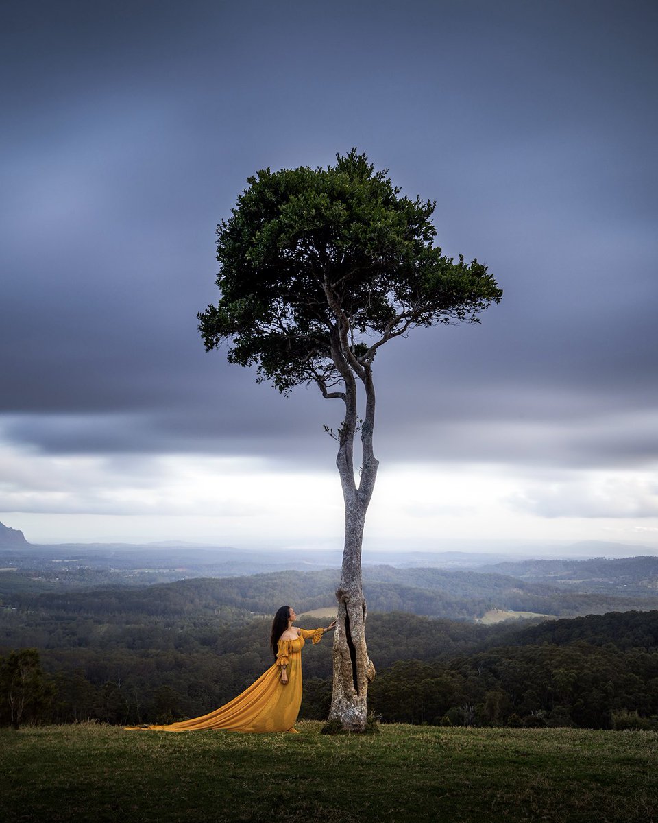 SarahLyndsay tweet media