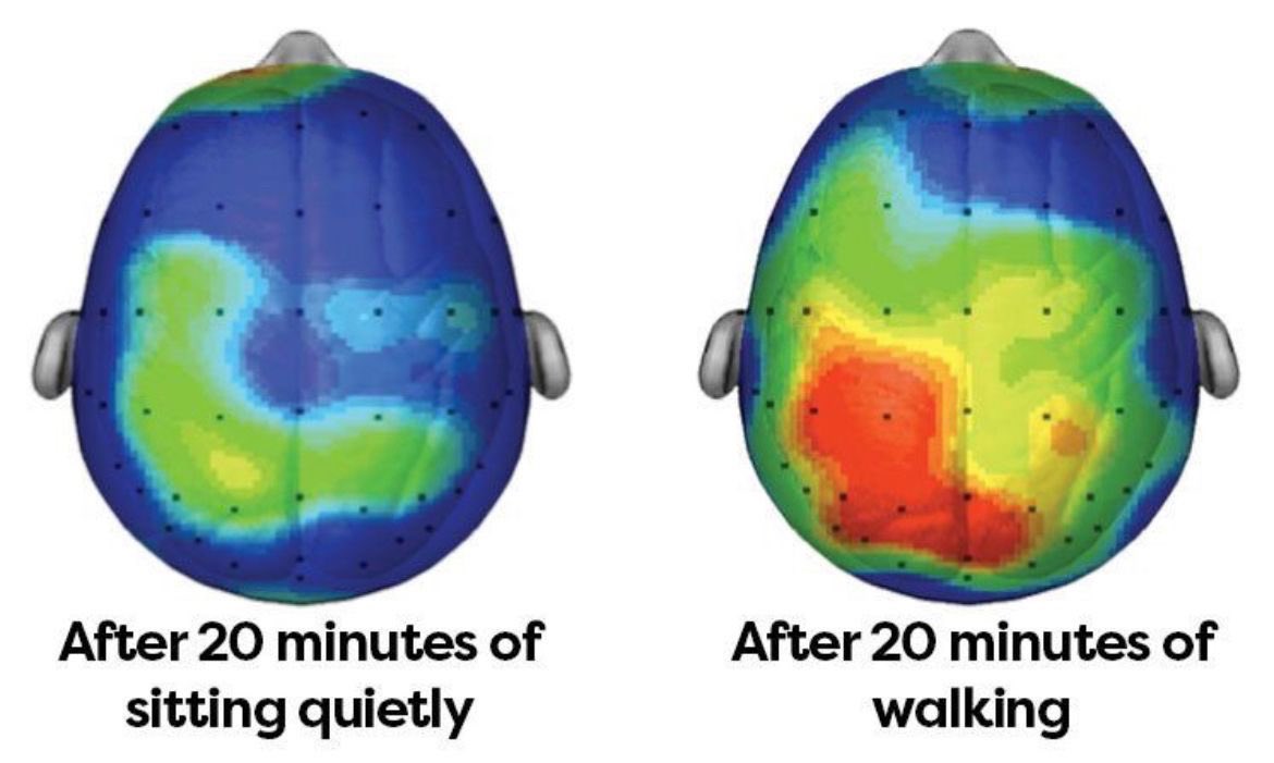 iamvishwaa's tweet photo. The researchers at the university of Illanois concluded that movement improves cognitive ability, creativity and a child’s ability to understand. 

However, in many classrooms in the world, our children are forbidden to move.

Let them move, and watch the brain light up! https://t.co/HUr1HqC4Ac