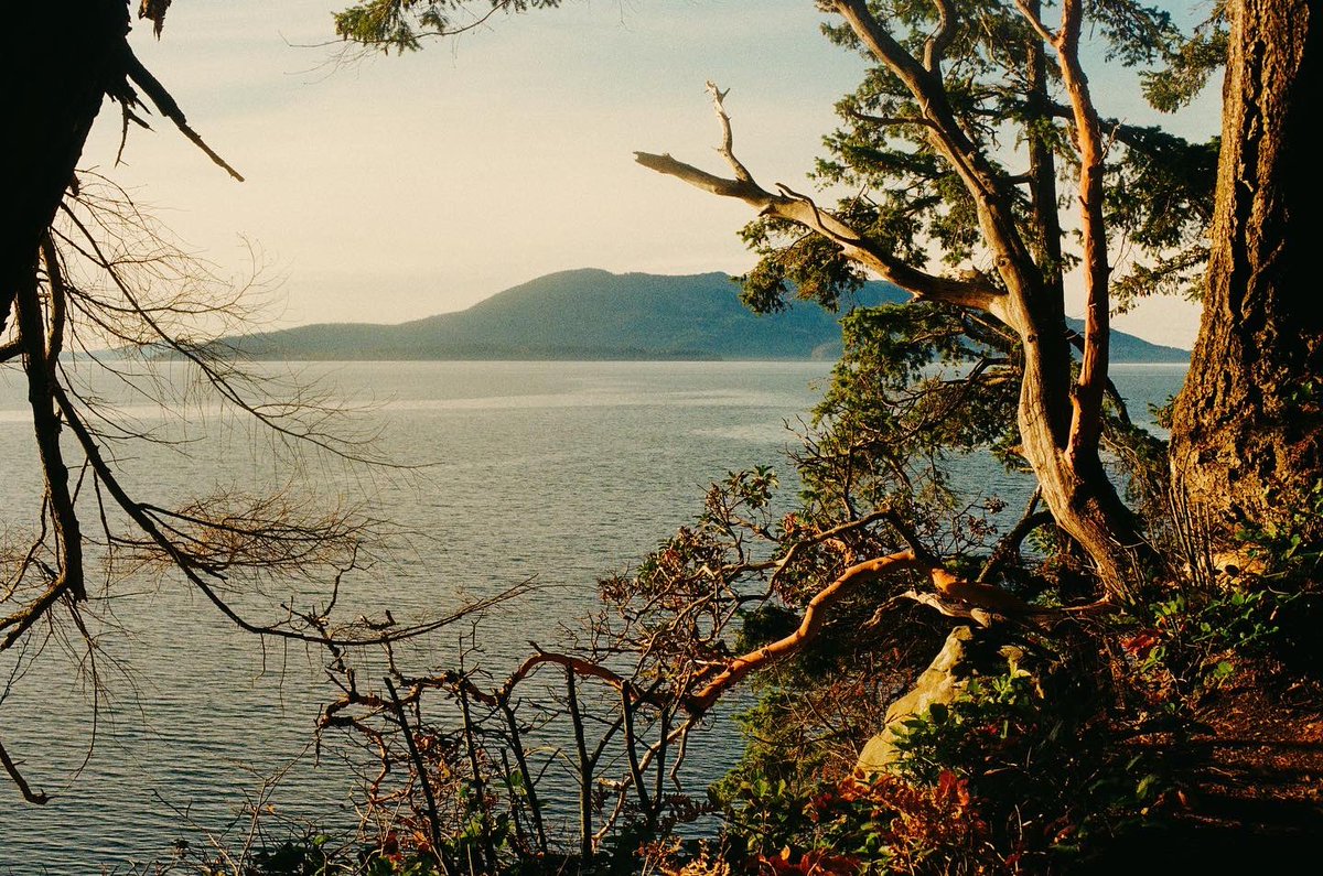 Nothing like the sweet taste of developed summer film 🌞

#35mm #kodak