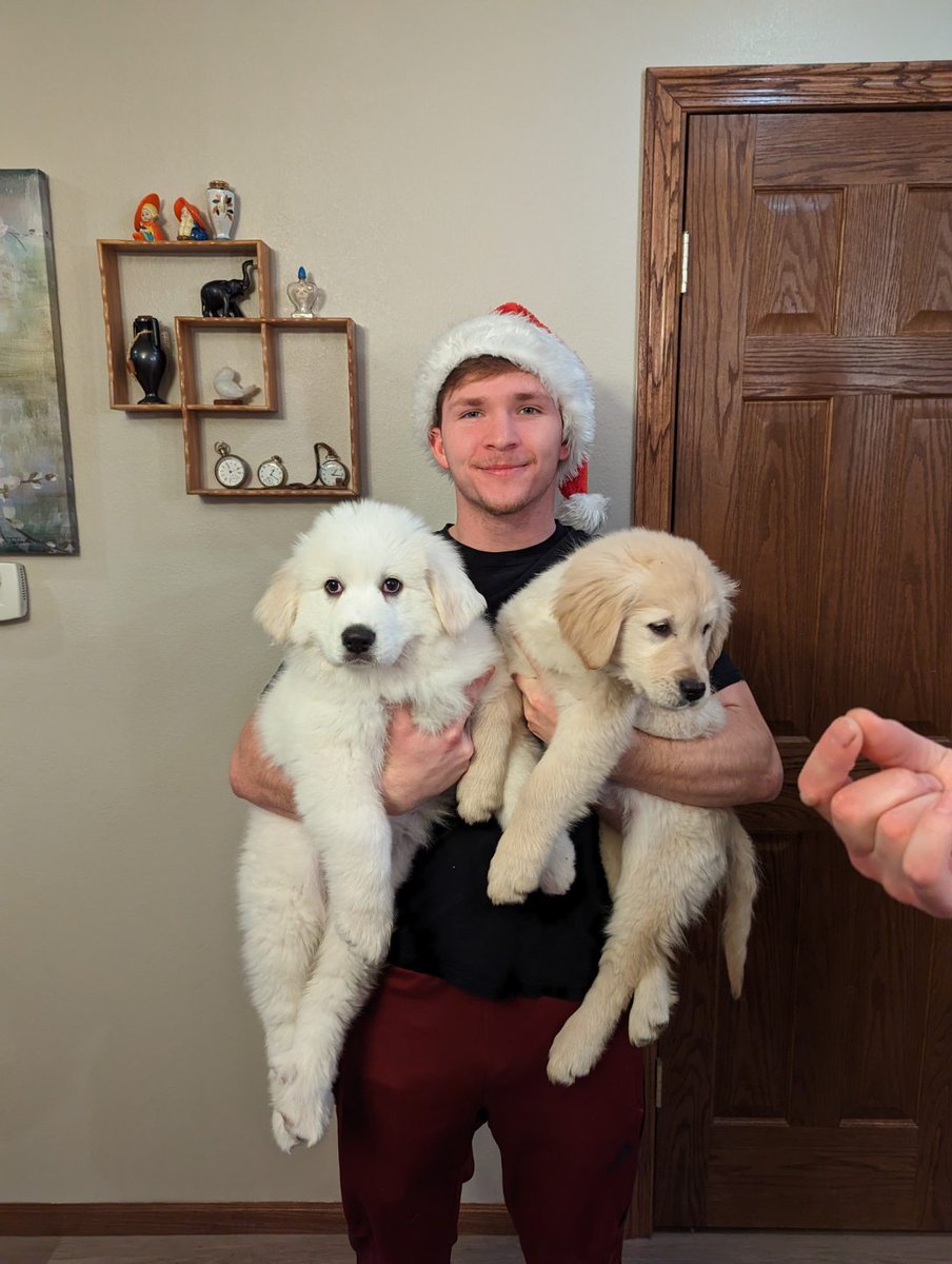 Bergman93's tweet photo. Im a dog guy. That's the tweet. https://t.co/K8uqARsjgA