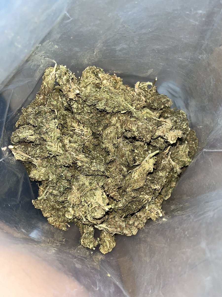420Roll_premium's tweet photo. ดอกGreenCrack มีบริการชมมือ กทม รังสิตลำลูกกา รามอินทรา พหลโยธินขับส่ง24ชมและเก็บปลายทาง สอบถามLine:https://t.co/6DLMgLuPGw 10G-100฿ 25G-250฿ 50G-450฿ 100G-800฿ #ดอกกัญชา #กัญชา #กัญชาชนมือ #กัญชารังสิต #กรีนแครก #กัญชาราคาถูก #กัญชาลำลูกกา #กัญชากรุงเทพ #บ้องแก้ว #บุหรี่นอก https://t.co/4TP81oXgRC