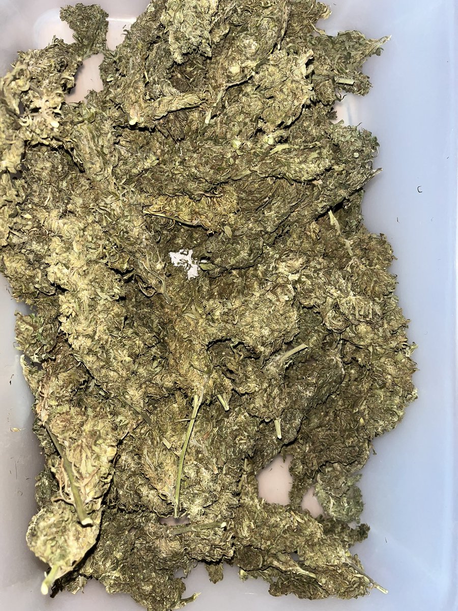 420Roll_premium's tweet photo. ดอกGreenCrack มีบริการชมมือ กทม รังสิตลำลูกกา รามอินทรา พหลโยธินขับส่ง24ชมและเก็บปลายทาง สอบถามLine:https://t.co/6DLMgLuPGw 10G-100฿ 25G-250฿ 50G-450฿ 100G-800฿ #ดอกกัญชา #กัญชา #กัญชาชนมือ #กัญชารังสิต #กรีนแครก #กัญชาราคาถูก #กัญชาลำลูกกา #กัญชากรุงเทพ #บ้องแก้ว #บุหรี่นอก https://t.co/4TP81oXgRC