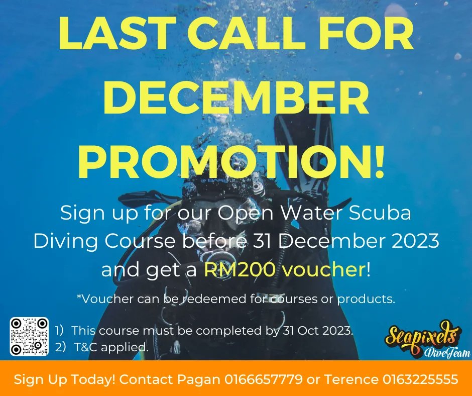 Seapixels's tweet image. 3 MORE DAYS! Sign up now for a great deal! And make sure you bring along your friends too so everyone can share in the joy! 

Contact us at wa.me/+60166657779 (Pagan) or wa.me/+60163225555 (Terence) 

#seapixels #seapixelsdiveteam #mylifeyourdream #gopro #migalabs