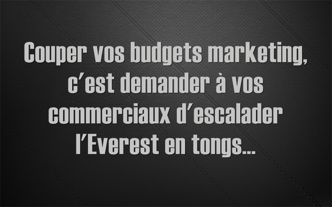 Pourquoi couper vos budgets marketing en 2023 n'aidera certainement pas votre performance commerciale... 

👉bit.ly/3Q2P0kg