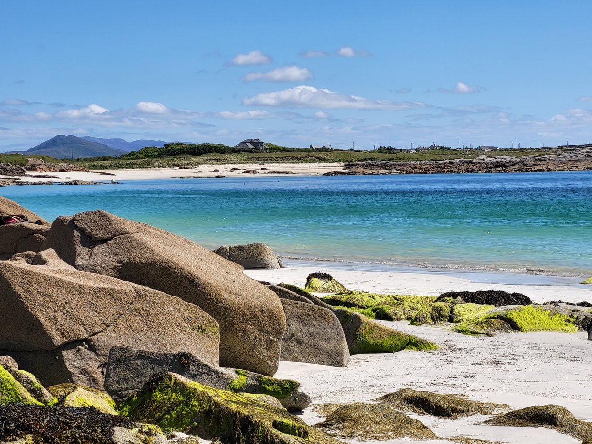 🌎Andrea🌍 tweet media