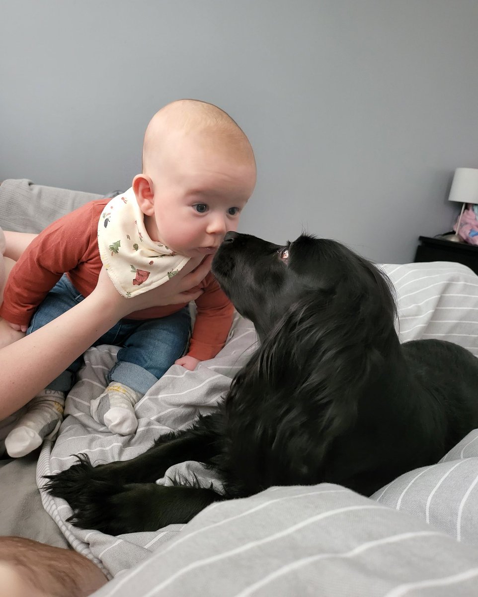 JP Ace Azure tweet media