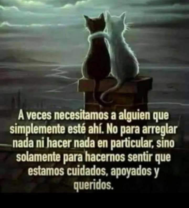 VidaEquilibrada (@vidaequilibrad4) on Twitter photo 