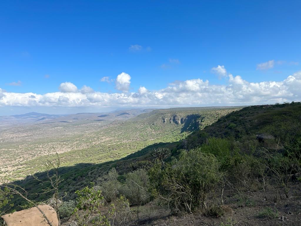 Peter Kamalingin B.L tweet media