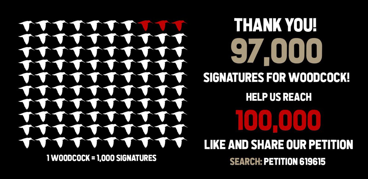 WildJustice_org's tweet photo. Amazing! Thanks to all your likes, retweets and shares, we’ve now less than 3,000 signatures to go until we can have a debate in parliament. Please support our Woodcock petition if you haven’t already! https://t.co/oWEpuTIWrR https://t.co/t1BLYJiEVb