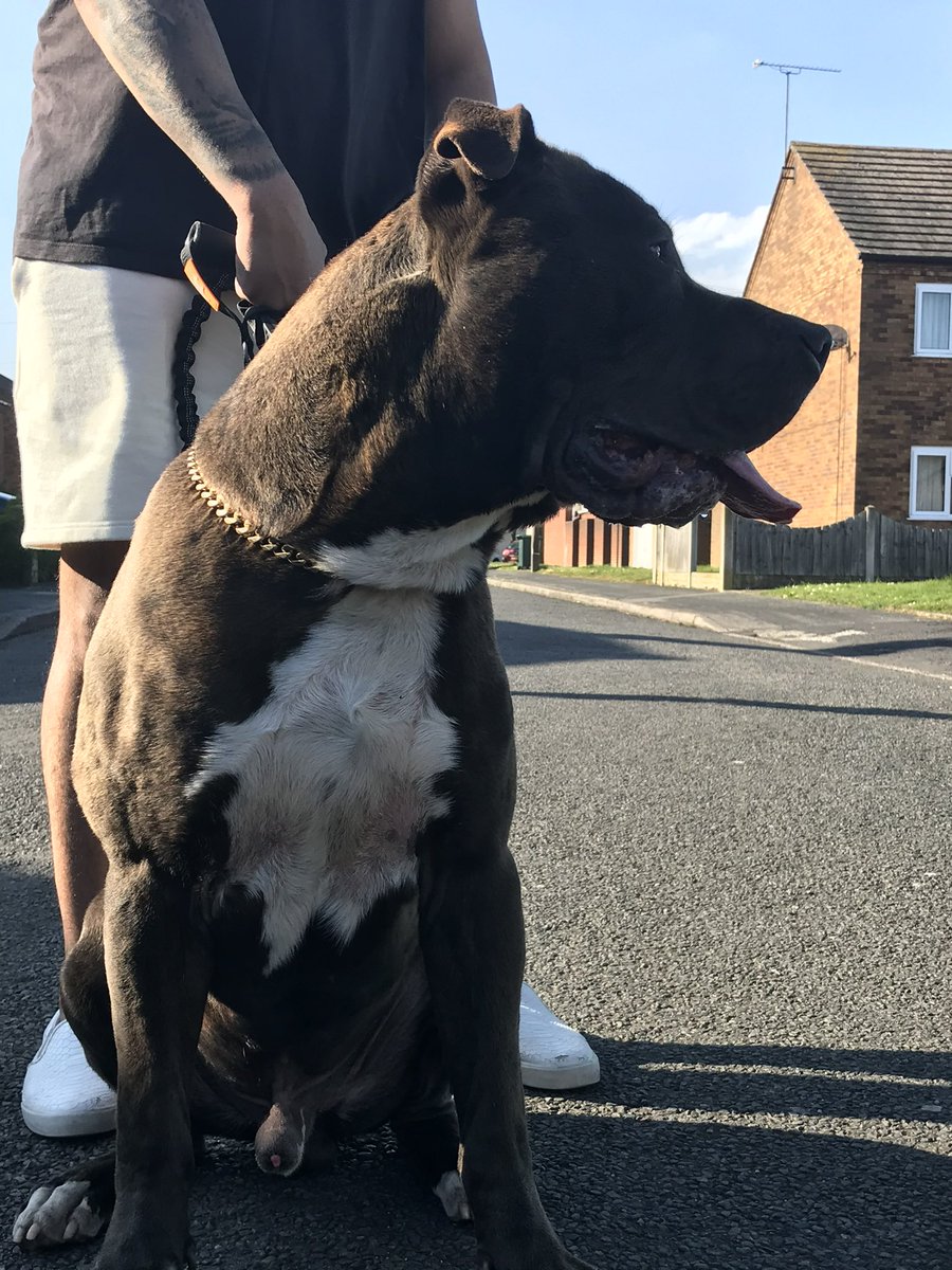 Devantae Masaun tweet media