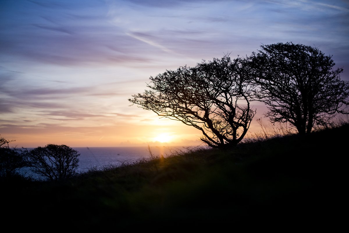 New Year's Resolution: to sit here more often
