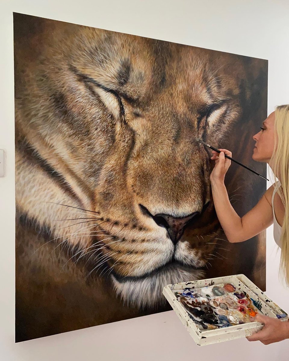 ‘Wisdom’ - possibly my favourite painting of 2022. Looking forward to a brand new year of creativity for 2023. Original sold - limited edition prints are available at: 
julierhodes.com

#art2022 #lioness #lion #bigcatart #painting #art #artcollector #realism #wildlifeart