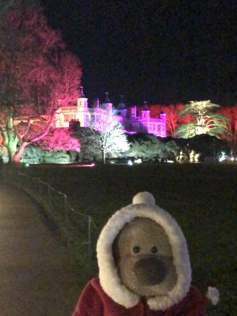 Last night we went to The Enchanted Trail @EHAudleyEnd It was so magical we loved it ❤️