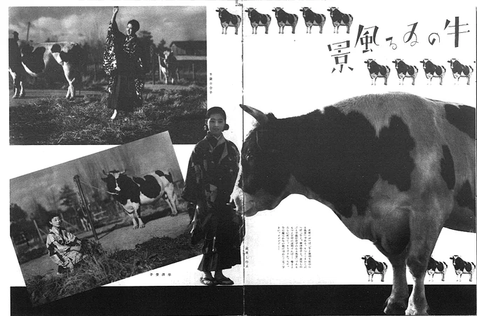 昭和13年の宝塚グラフのグラビア
「牛のいる風景」
なぜ牛なのか。
つけられた文章が80年代思い出す味わい。 