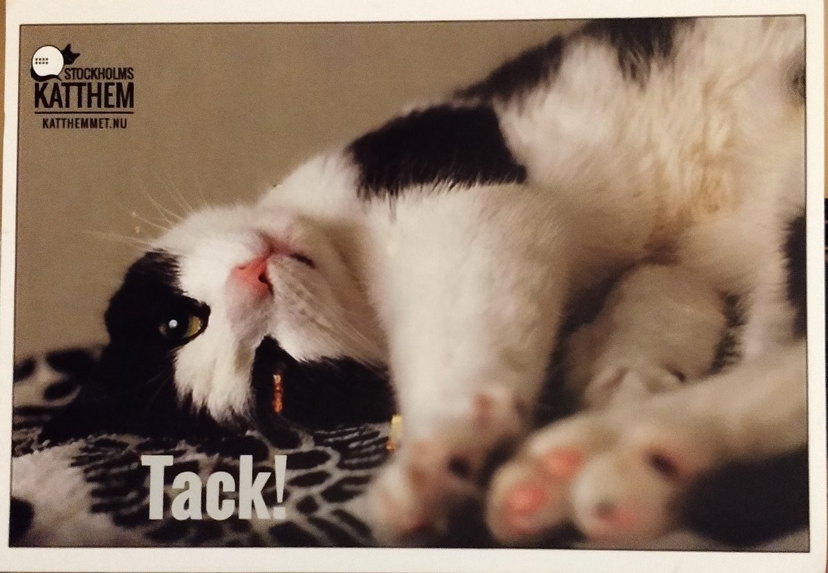 mkinstab's tweet photo. Wishing everyone the purriest 2023 😽️
#charity #gift #catshelter https://t.co/Mz0QOCJ9O8