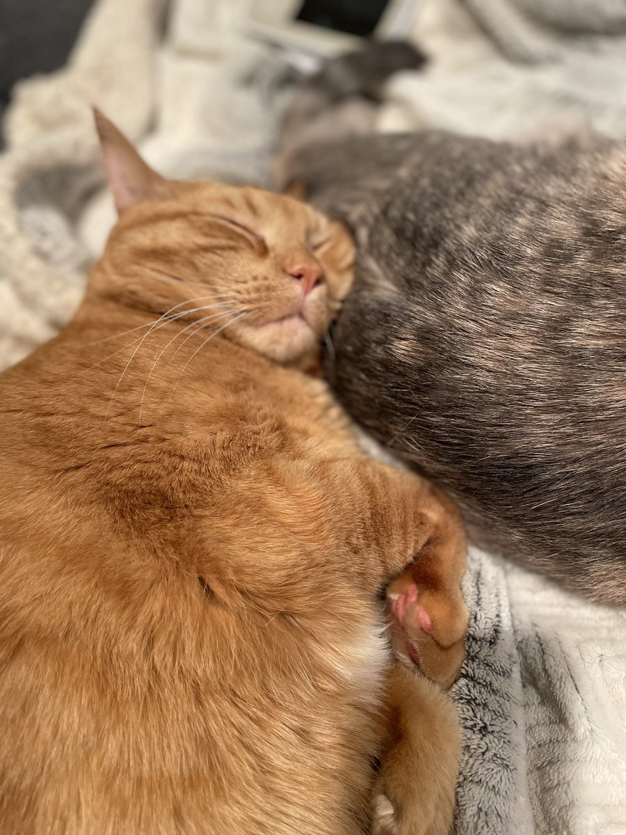 archietheorange's tweet photo. worm :-) https://t.co/RsQQprGrBU
