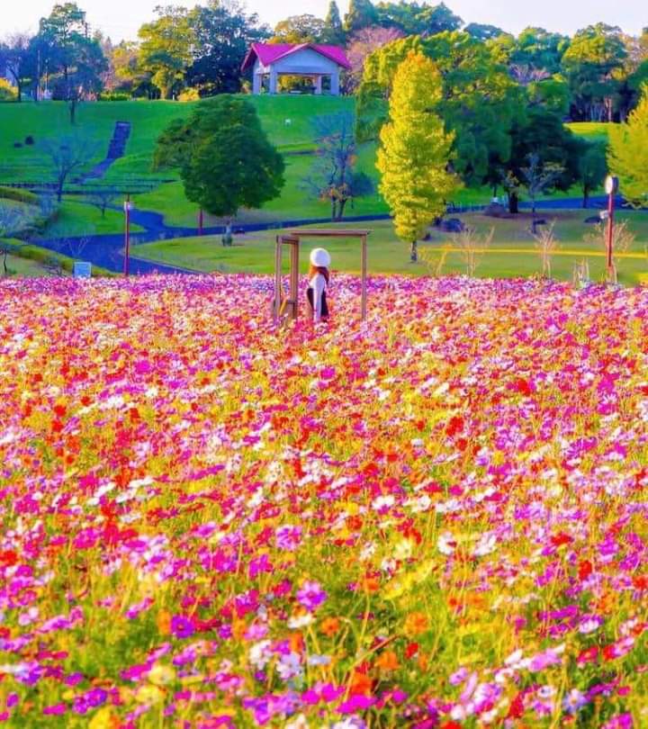 sevgiesen2's tweet photo. Oldum olası sabahları severim ben..
Her gün güneş yeniden doğar...
her doğan güneşle yeni umutlar doğar
Yeter ki siz perdeleri açmayı unutmayın..

#Günaydın https://t.co/NLQmBtH7Tf