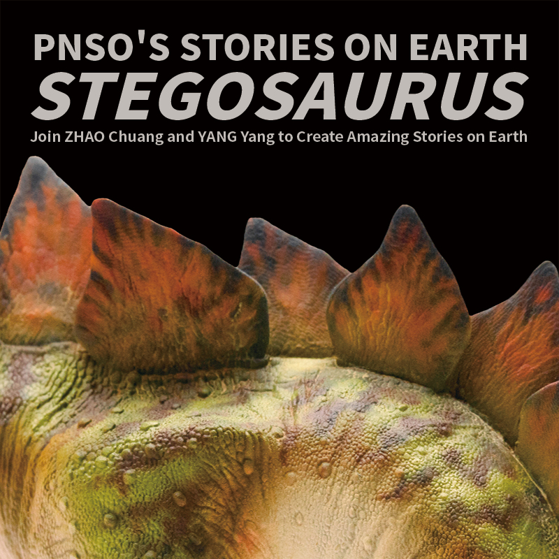 Pnso On Twitter Biber The Stegosaurus Had Huge Bony Plates The Ones Above The Hip Were Even 